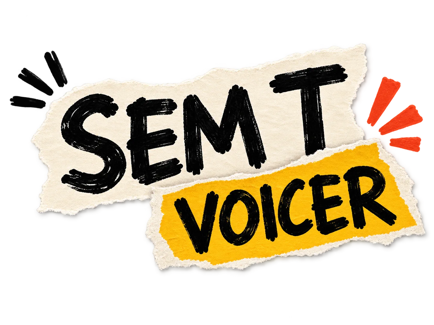 SEM T VOICER
